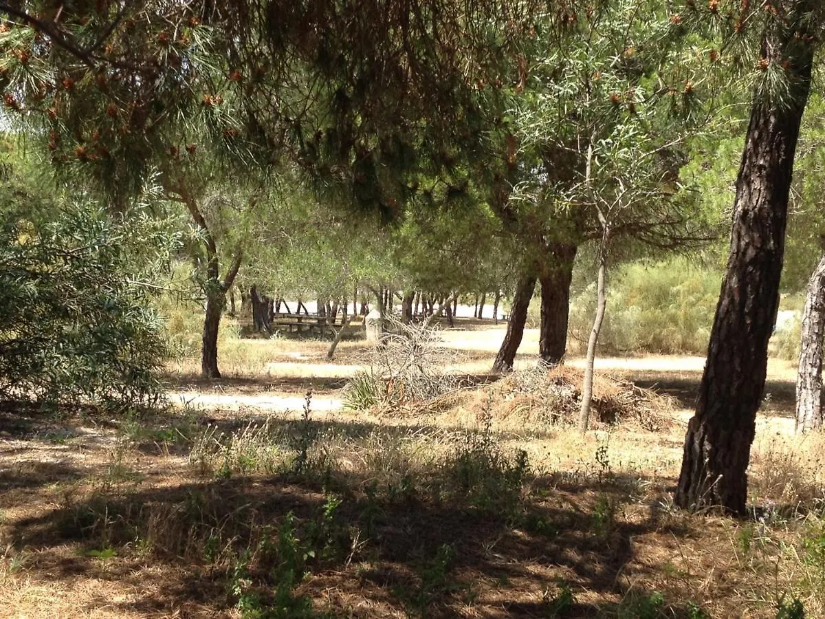 Beach House - Tavira Island פורטוגל